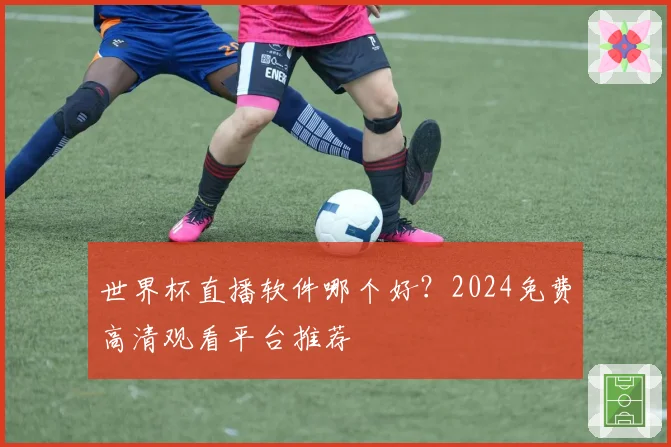 世界杯直播软件哪个好？2024免费高清观看平台推荐
